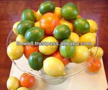 Citrus fruits season ( Orange -  Lemon  - Mandarin )