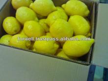 Lemon ( Fresh Adalia -Fresh Verna - Fresh Green lime -Fresh Banzaher lime )