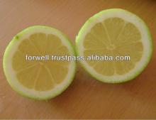 Fresh Yellow Adalia Lemon