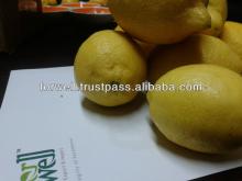 FRESH LEMON (YELLOW ADAILA )