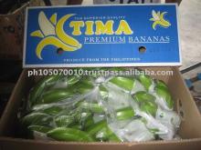 FRESH CAVENDISH BANANA