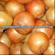 Gold Onion