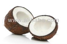 Matured Coconut