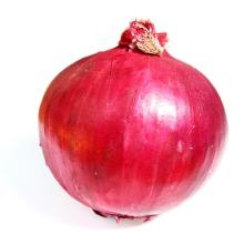 BIG RED ONIONS FROM INDIA