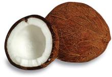 FRESH OCONUTS FROM INDIA