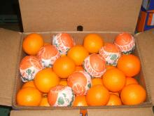 oranges for juices