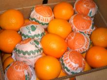 Valencia orange for juices
