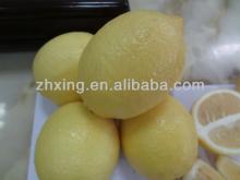 2013 - 2014 fresh lemon