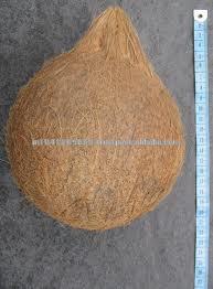 export Indian coconut
