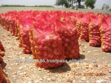 yellow and red onion