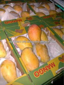 Fresh Mango