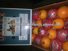 valencia orange