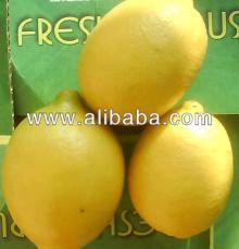 fresh lemon