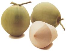 Fresh Young Coconuts from Thailand