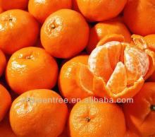 Pampas original  mandarin   segment s with own orchard and processing factory