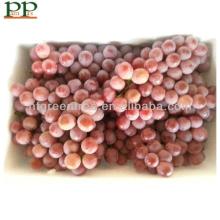 sweet seeded grape
