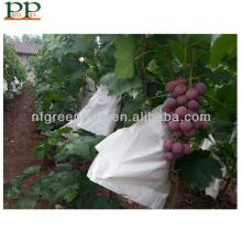China nutritious red flame grapes