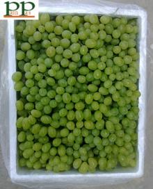 2013  big  size green grapes