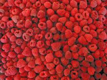 IQF Conventional Raspberry
