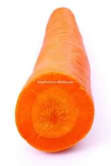 2014 fresh carrot price