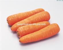 2014 new crop fresh carrot