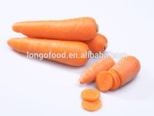 2014 bulk fresh carrot china supplier