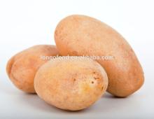 Chinese fresh potato, fresh vegetable, high quality