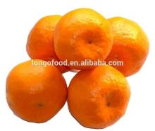2014 Fresh navel orange