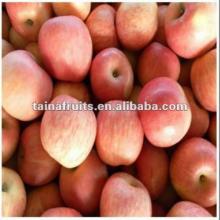 sweet apple fruit red fuji apple