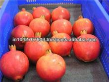 Fresh Round Pomegranate from India