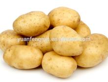2014 fresh potato 100g up