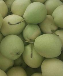 2014 crop fresh shandong pear