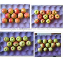 Shanxi  Royal  Gala Apple 2014 new crop 100#113#125#138#150#163#175#198#