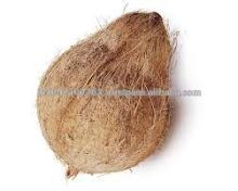 fresh coconuts