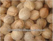 Semi Husked Coconut