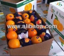 Valencia Fresh Orange