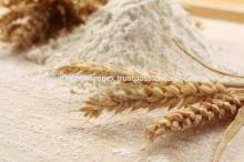 Fresh Wheat Flour Supplier in UAE/Dubai/Kuwait
