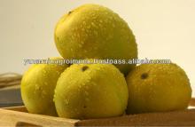 Fresh Alphonso Mangoes