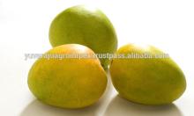 Fresh Mangos