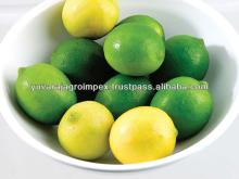 Natural Green Lemon