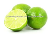 Fresh Lemon Supplier / Manufacture in India