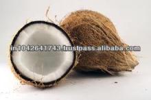 coconuts