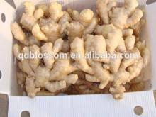 Fresh Ginger new crop china