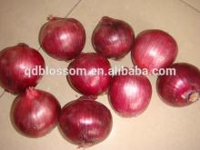 Fresh Red Onion from Shandong Jinxiang Supplier