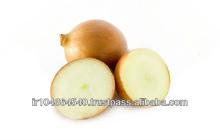 Common Cultivation Non-Peeled Round Fresh Onion