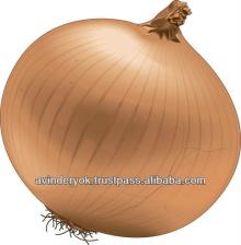 Common Cultivation Non-Peeled Fresh Round Onion