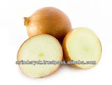 Fresh Common Cultivation  Non - Peeled   Onion  for Sale