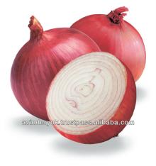 Common Cultivation Non-Peeled Fresh Red Onion