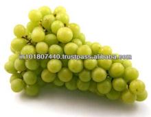 Fresh Grapes