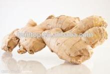 Chinese air dried ginger ,fresh ginger